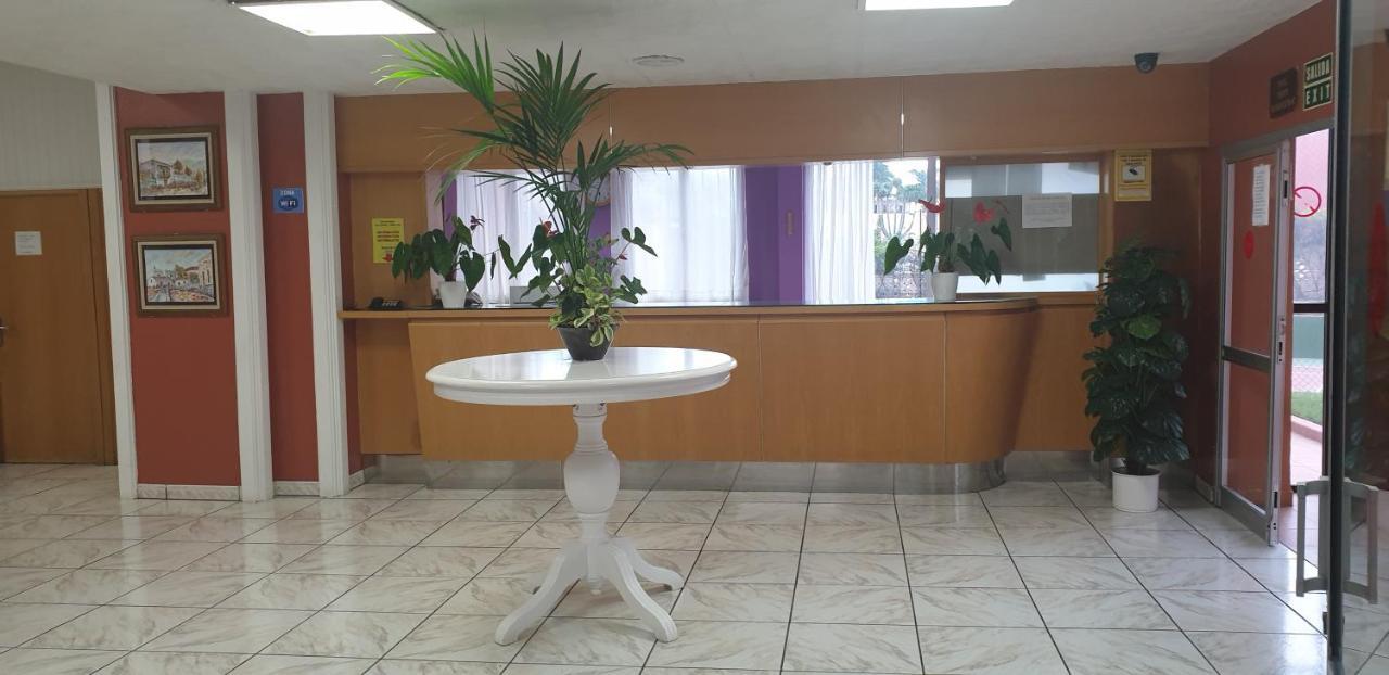 Estudio Neya Puerto de la Cruz (Tenerife) Exterior foto
